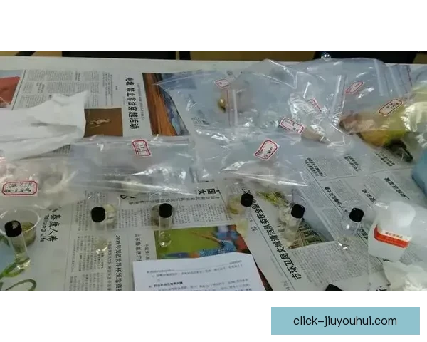 旧金山加强世界杯球场周边餐饮卫生监控保障赛事期间食品安全